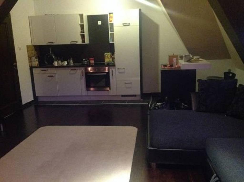 Apartment 111 At Zoned Apart Hotel & Spa - Apartman 111 U Hotelu Zoned コパオニク 部屋 写真